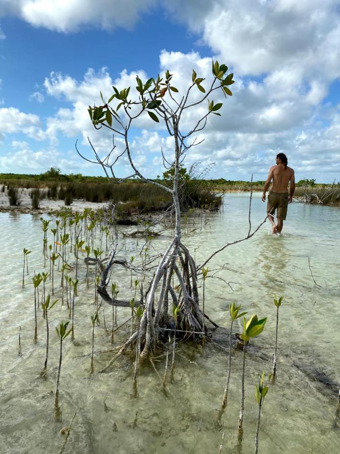 Villas Ecotucan Bacalar Bagian luar foto