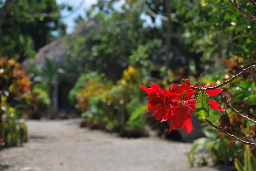 Villas Ecotucan Bacalar Bagian luar foto